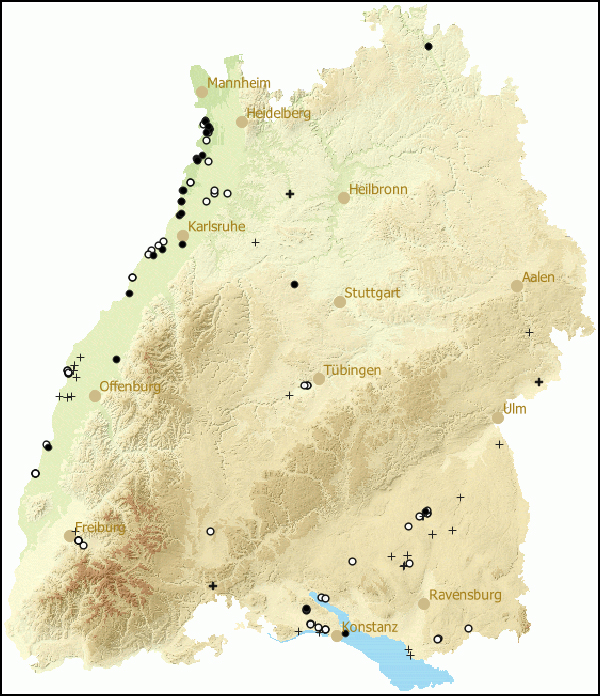 Verbreitung Stagnicola corvus in Baden-Wuerttemberg
